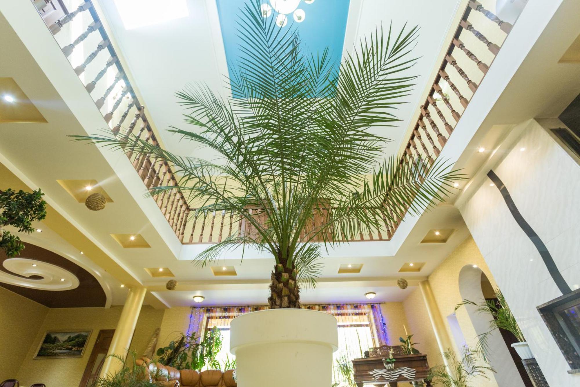 Villa Fenix Beregszász Kültér fotó