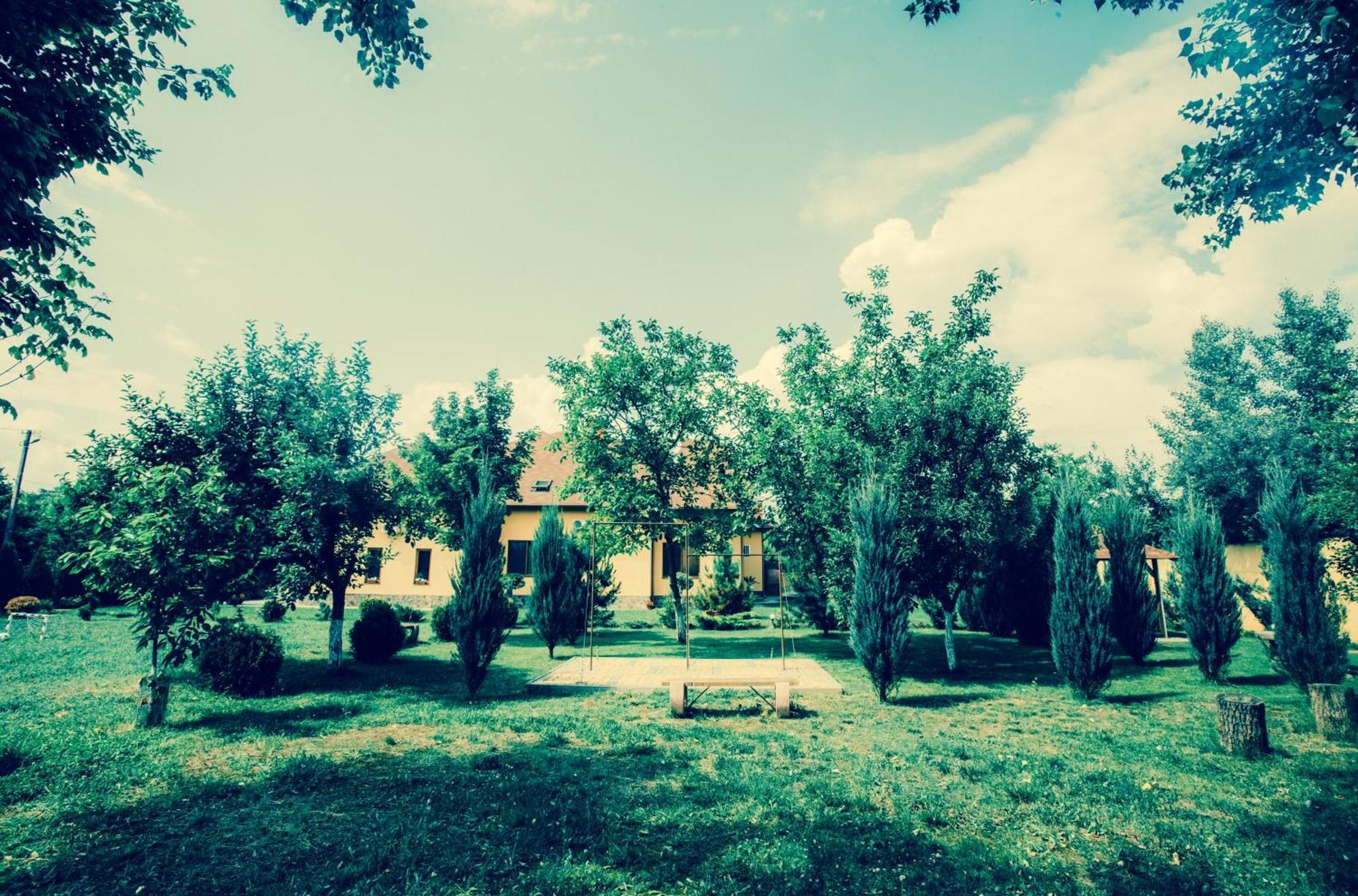 Villa Fenix Beregszász Kültér fotó