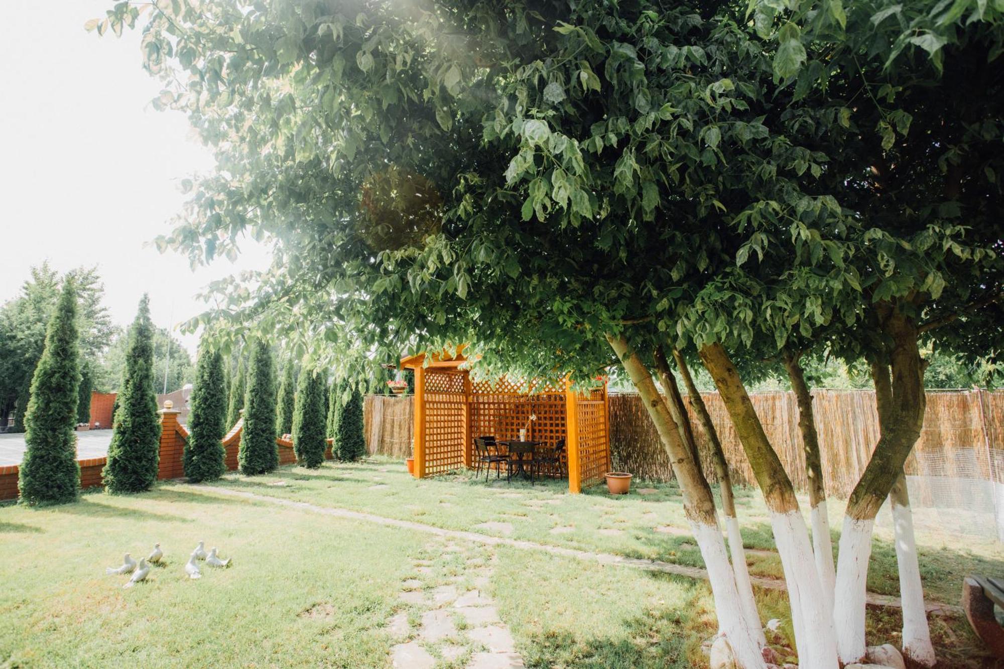 Villa Fenix Beregszász Kültér fotó