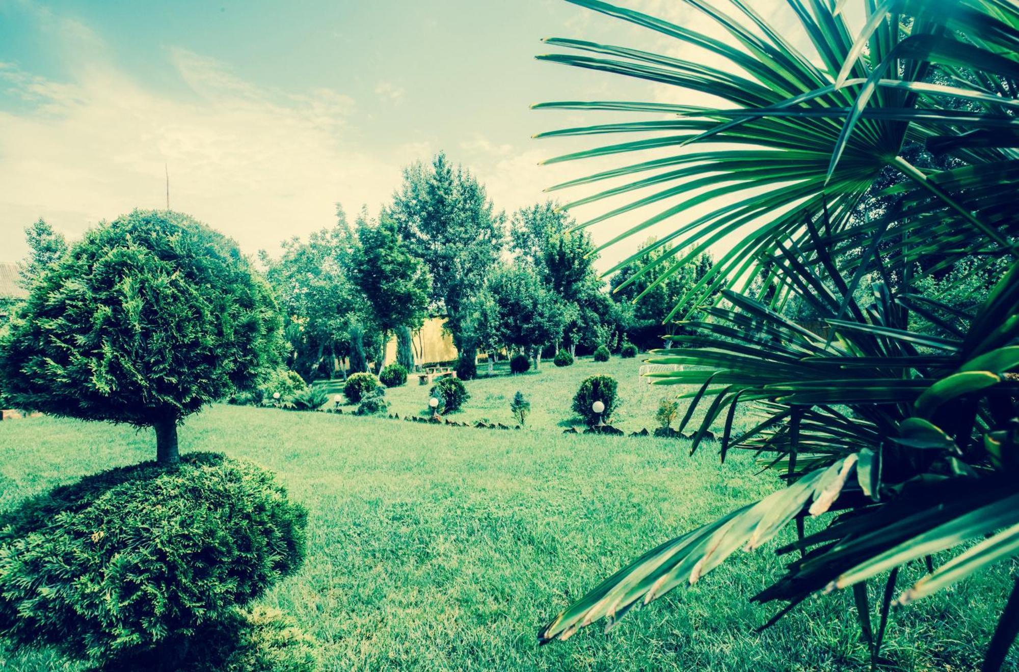 Villa Fenix Beregszász Kültér fotó